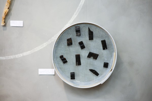 Αντίγραφο από DSC_9296_small