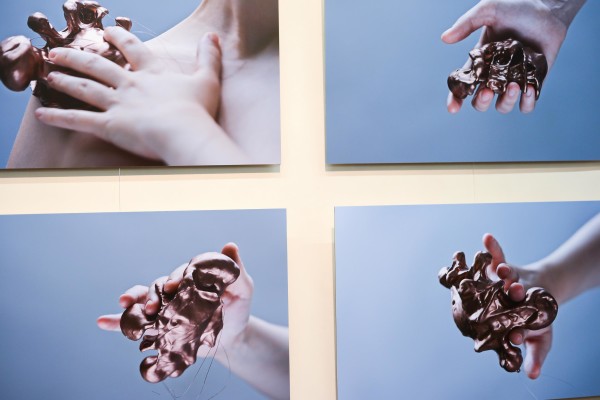 Αντίγραφο από DSC_9317_small