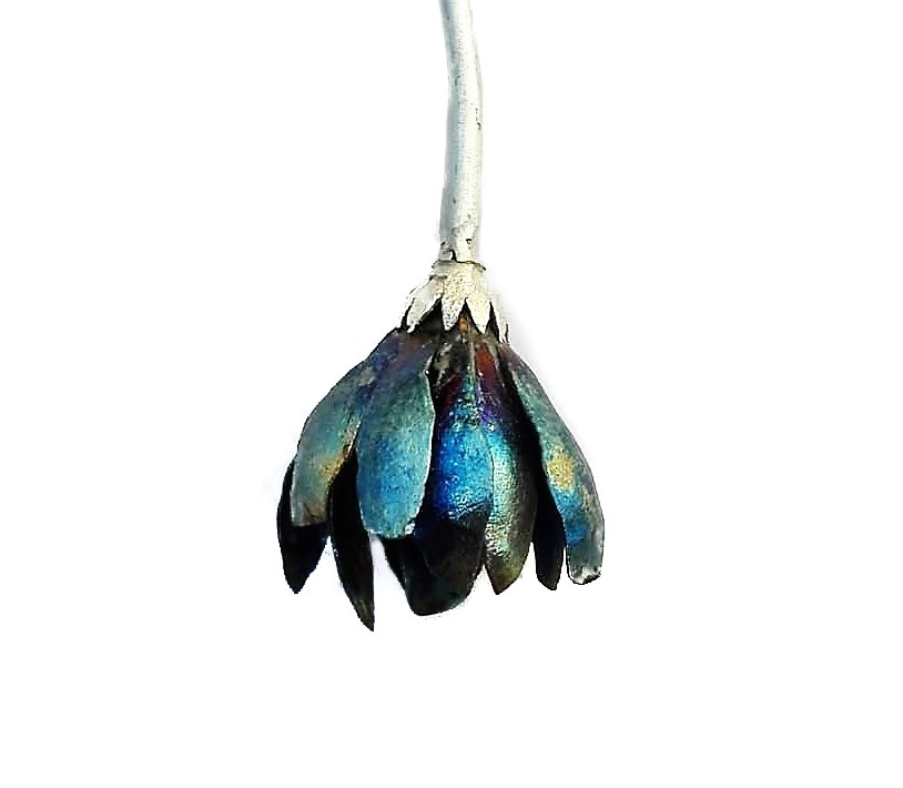 Τιτάνιο / 2ήμερο σεμινάριο με τον Δημήτρη Νικολαϊδη / 11 & 12 Μαϊου 2019