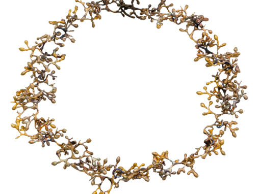 Νέοι κύκλοι μαθημάτων | Μάρτιος – Ιούνιος 2025